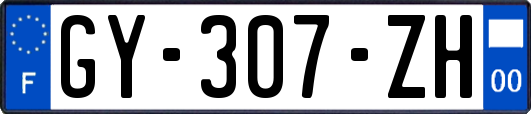GY-307-ZH