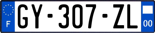 GY-307-ZL
