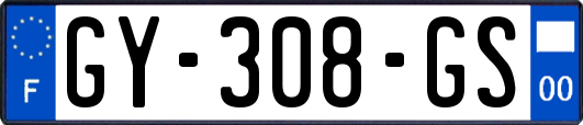 GY-308-GS