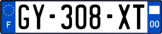 GY-308-XT