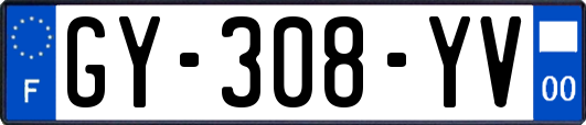 GY-308-YV