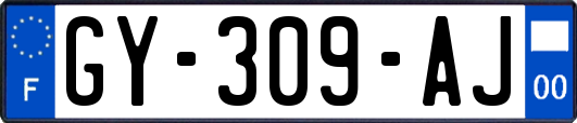 GY-309-AJ