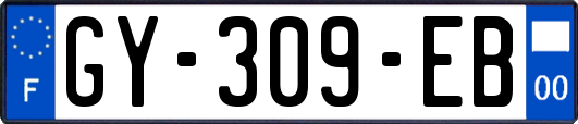 GY-309-EB