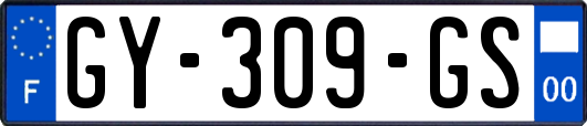 GY-309-GS