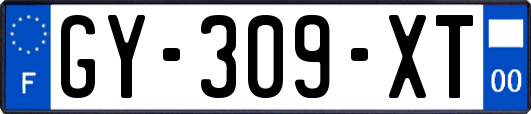 GY-309-XT