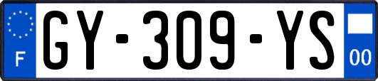 GY-309-YS