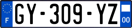 GY-309-YZ
