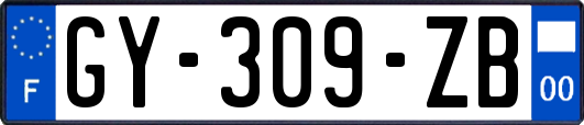GY-309-ZB