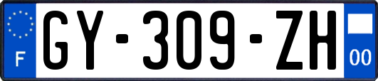 GY-309-ZH