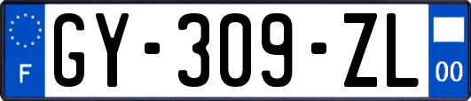 GY-309-ZL
