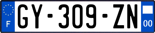 GY-309-ZN