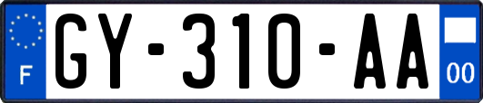 GY-310-AA