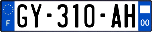 GY-310-AH