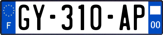 GY-310-AP