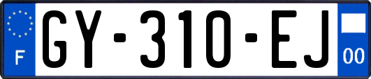GY-310-EJ