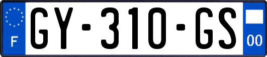 GY-310-GS