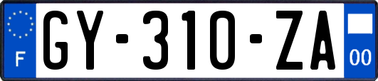 GY-310-ZA