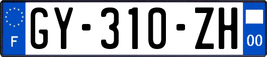 GY-310-ZH