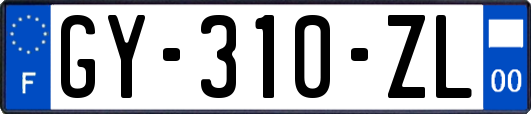 GY-310-ZL