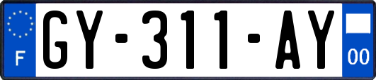 GY-311-AY