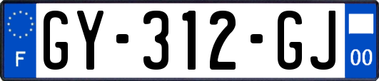GY-312-GJ