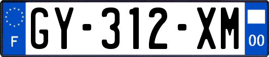 GY-312-XM
