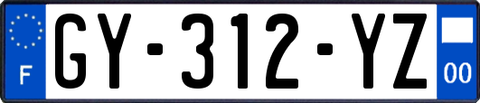 GY-312-YZ