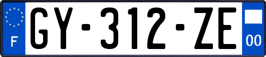 GY-312-ZE