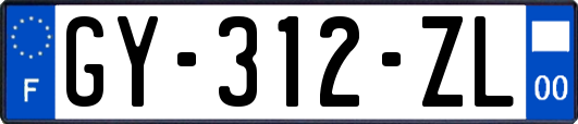 GY-312-ZL