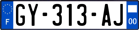 GY-313-AJ