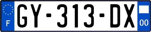 GY-313-DX