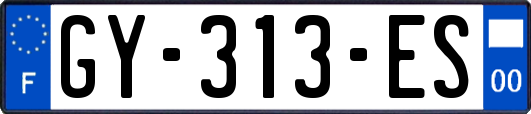 GY-313-ES