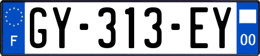 GY-313-EY