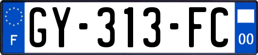 GY-313-FC