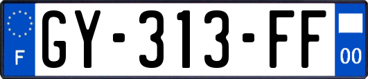 GY-313-FF