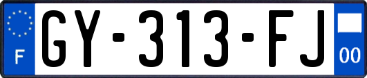 GY-313-FJ