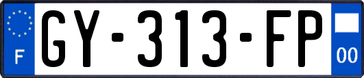 GY-313-FP