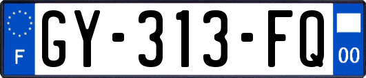 GY-313-FQ