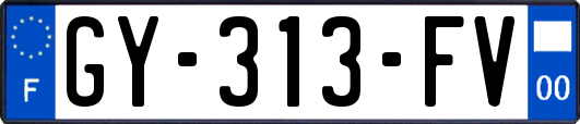 GY-313-FV