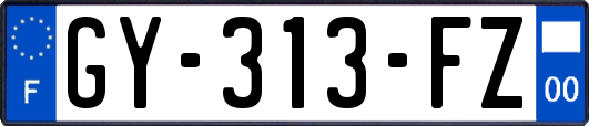 GY-313-FZ