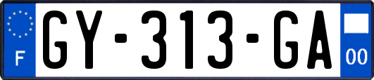 GY-313-GA