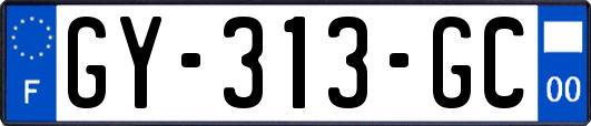 GY-313-GC