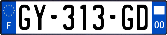 GY-313-GD