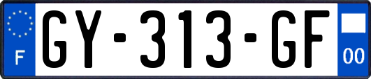 GY-313-GF