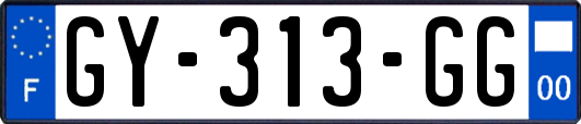 GY-313-GG