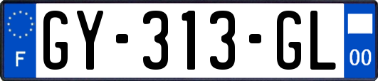GY-313-GL