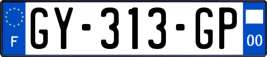 GY-313-GP