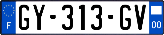 GY-313-GV