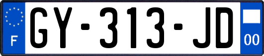 GY-313-JD