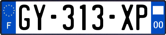 GY-313-XP